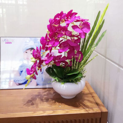 高仿真花蝴蝶兰套装 花瓶花器假花装饰花绢花 客厅装饰花艺