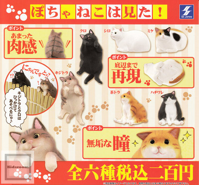 其他卖家的主图视频