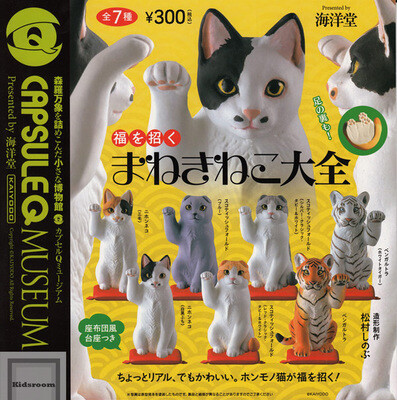 其他卖家的主图视频