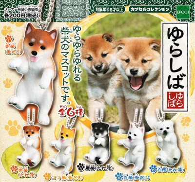 其他卖家的主图视频