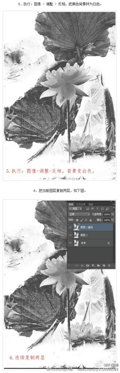 【利用Photoshop滤镜制作逼真的水墨荷花效果】制作思路很简单，首先将图片转为黑白，用滤镜添加水墨纹理，但在处理的时候还需要注意很多细节，如图片的背景，水墨纹理控制范围等，这些都需要自己慢慢摸索。