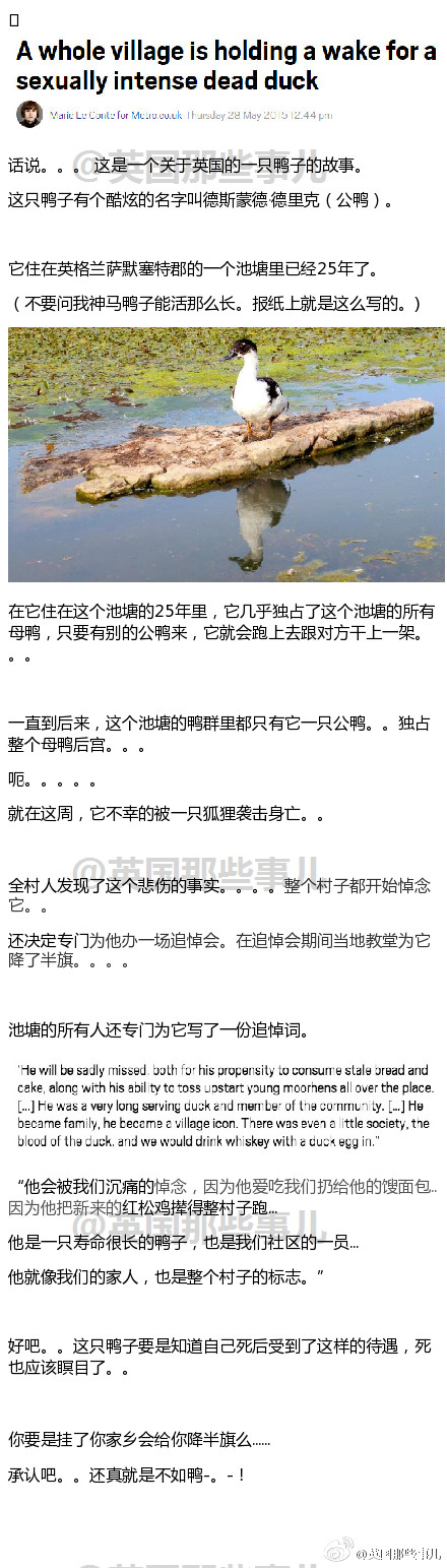 这是英国一个村子里有一只老公鸭挂了。。。。后来全村人都跑去参加了它的追悼会。。。。。。事情是这样的。。。