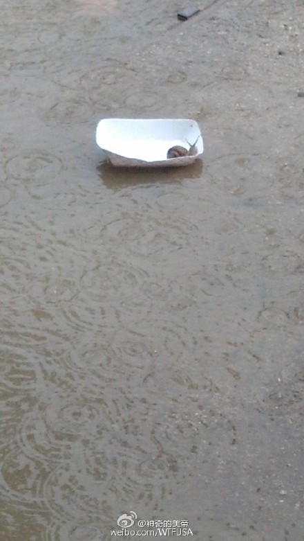 少年蜗的奇幻漂流……