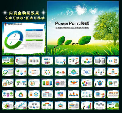 绿色自然环保学校教育PPT PPT模板 PPT背景 PPT图表 POWERPOINT 工作 会议 报告 座谈 交流 研讨 表彰 总结 计划 活动 动画 课件 幻灯片 教育 教学 科研 培训 绿色PPT