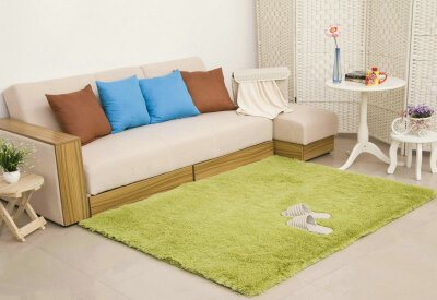 特价加厚可水洗丝毛地毯地垫 客厅卧室地毯地垫 可定制