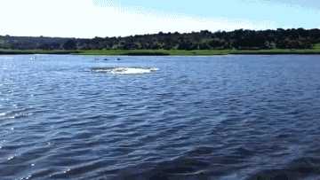 这……简直是魔物…………