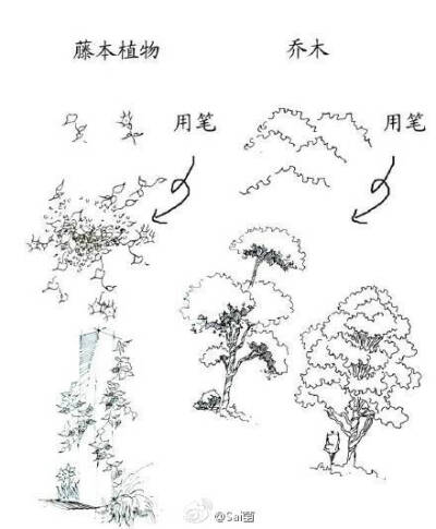 #绘画学习# 手绘教程。风景线稿！简单入门，快来一起画~