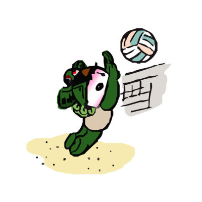 Beach Volleyball公司logo