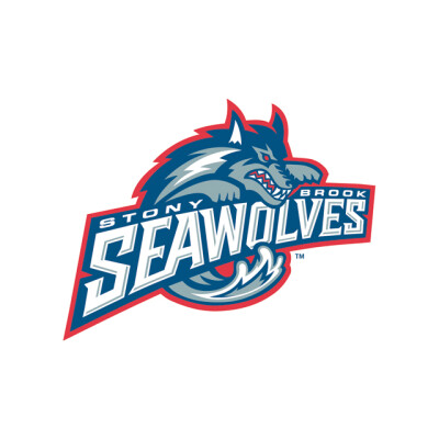 Brook Seawolves学校logo