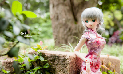 【月蓉坊】BJD-DD/DDdy/SD/SDGR/SD16 真丝旗袍 --花鹤翎--