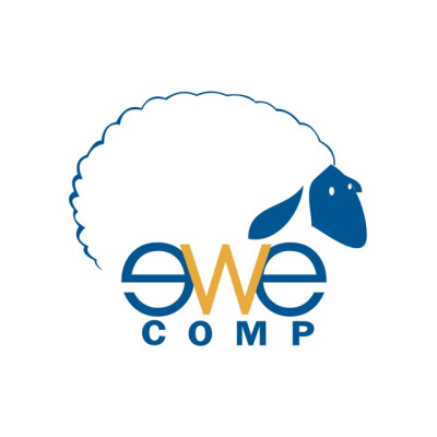 ewe comp网站logo