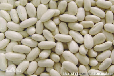 白芸豆（white kidney beans）是世界各国常见的一种食用豆，在我国各省、区均有种植。白芸豆不仅营养价值丰富，而且具有很高的药用和保健价值，是我国传统的药食同源食品。