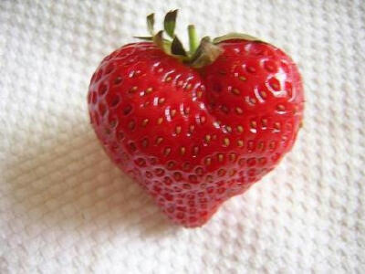 只愿在简约的四季里，穿粗布素衣，和某个平淡的人，一同老去，相约白头。