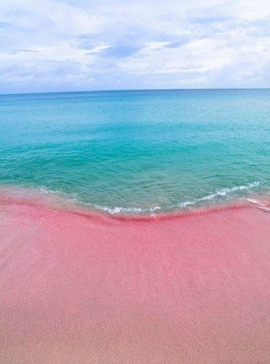 世上独一无二的粉色沙滩 巴哈马哈勃岛东侧的Pink Sands Beach[花心]（转）