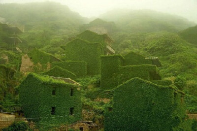  【遗失的村落，重回自然】电嵊泗列岛位于杭州湾以东，包括400多个大小岛屿。在这些小岛上，一些村落逐渐荒芜，无人可居的房屋逐渐被大自然侵蚀覆盖。南宁摄影师Tang Yuhong作品