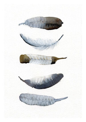 羽之意。作者：丹麦水彩画家Annemette Klit 换不完的插画壁纸..