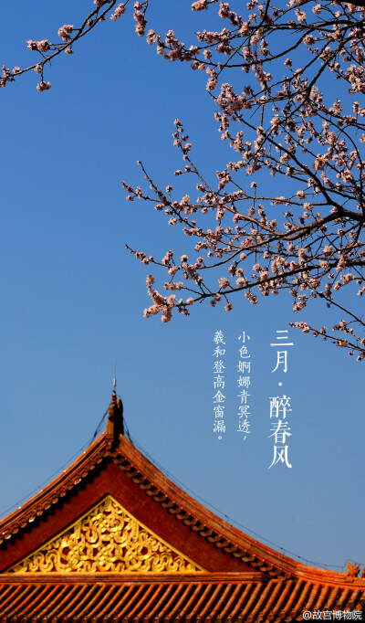 小色婀娜青冥透,羲和登高金窗漏.#紫禁城岁时# “几枝红雪墙头杏，数点青山屋上屏。一春能得几晴明？三月景，宜醉不宜醒。”（《阳春曲•春景》）。这杏花的颜色，仿佛是春姑娘精心调出来的，如女孩的胭脂般动人。春…