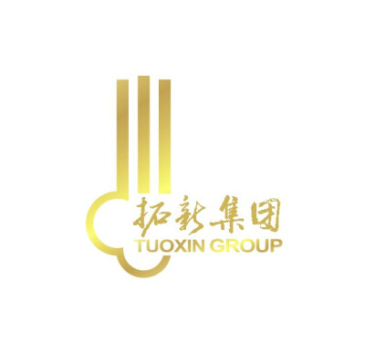 拓新集团房产公司标志房地产logo