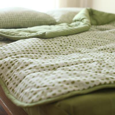 Castle Garden轻柔棉绗缝夏凉被可机洗空调被床盖 单人双人 枝豆