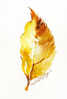 淡淡水彩-【植被】