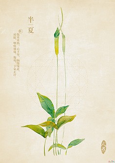 淡淡水彩-【植被】