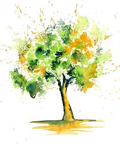 淡淡水彩-【植被】