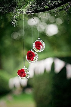 繁花竟似空