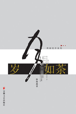 中国元素风格的书籍封面设计