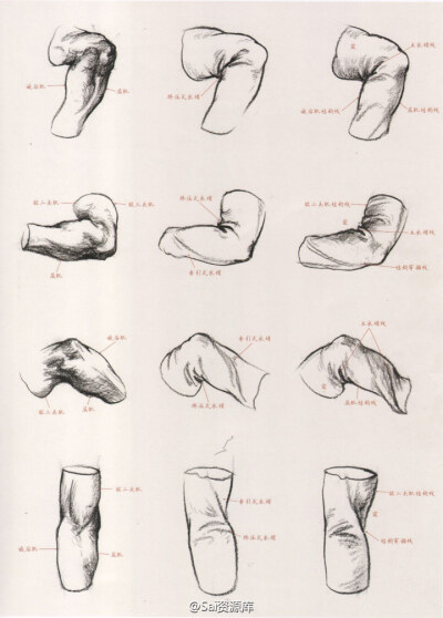 #SAI资源库#教你怎样用衣纹去表现人体结构，速写不好的童鞋先收藏哈~转需吧~
