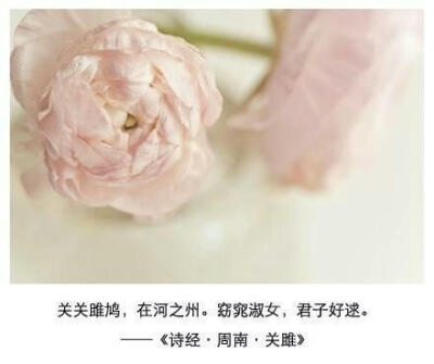 诗经