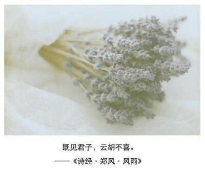 诗经