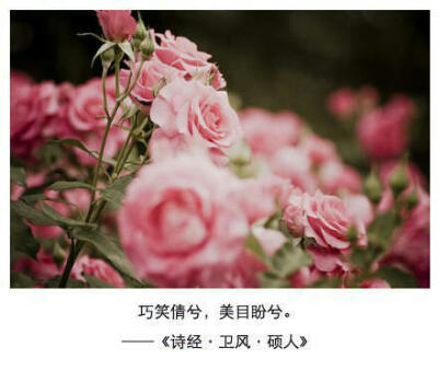 诗经