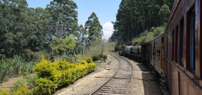 【旅行最省钱国家之斯里兰卡】努沃勒埃利耶 |斯里兰卡的高山茶园小镇 ，斯国必坐的列车。消费水平：五星级酒店比国内便宜一半。亚洲排行前30的餐厅，人均只要一百多。热带水果便宜，当地食品便宜。海鲜便宜，且极其…