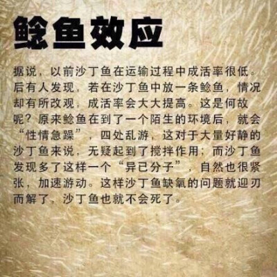 【无论你学什么专业，都该了解的名词】蝴蝶效应、鳄鱼法则、鲶鱼效应、羊群效应、刺猬法则、手表定律、破窗理论、木桶效应、二八定律，你都明白吗？