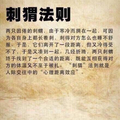 【无论你学什么专业，都该了解的名词】蝴蝶效应、鳄鱼法则、鲶鱼效应、羊群效应、刺猬法则、手表定律、破窗理论、木桶效应、二八定律，你都明白吗？