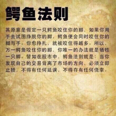 【无论你学什么专业，都该了解的名词】蝴蝶效应、鳄鱼法则、鲶鱼效应、羊群效应、刺猬法则、手表定律、破窗理论、木桶效应、二八定律，你都明白吗？