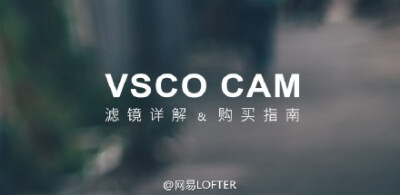 5【VSCO Cam 滤镜包详解及购买指南】大量的滤镜是 VSCO Cam 之所以是优秀摄影应用的精髓所在，到底哪个滤镜值得买？这些滤镜分别适合什么照片？@少数派sspai 的这系列文章不仅想教大家如何买滤镜，更想教大家如何用…