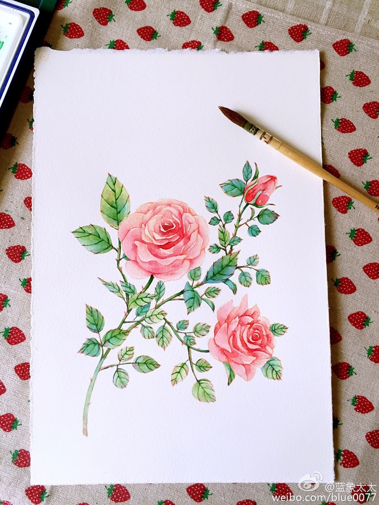 4小植-蓝象太太_水彩,手绘,植物,花卉_涂鸦王国插画