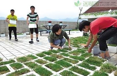  一位来自重庆大学虎溪校区网友“曾经的恰同学青年”，在微博发帖晒出照片，展示了同学们在宿舍顶楼天台搭建的空中花园。该网帖获得不少网友点赞，但也有人疑惑：宿舍天台不该是封闭的吗，这样不违规吗?昨日，记者了解到，原来是校舍区教育的绿色行动。