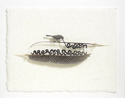 Chris Maynard鸟的羽毛艺术创意摄影