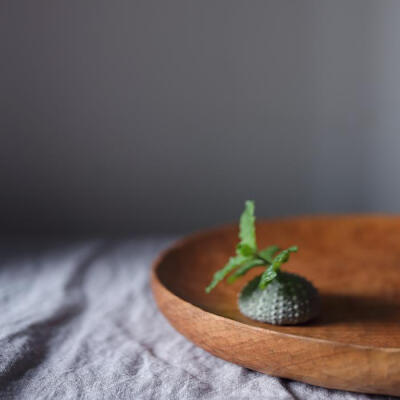 {弦&middot;生活器物} 大拙 手作木器木盘 餐盘 茶盘 樱桃木原木