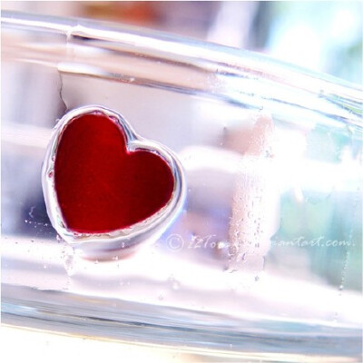 命运决定谁会进入我们的生活，内心决定我们与谁并肩。