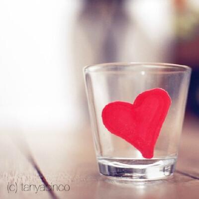 命运决定谁会进入我们的生活，内心决定我们与谁并肩。