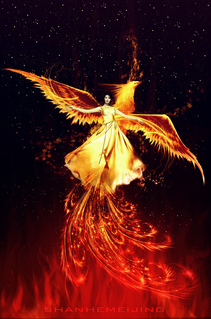 凤凰涅槃 堆糖 美图壁纸兴趣社区