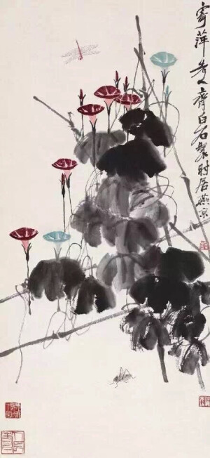 牵牛花