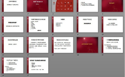 品牌传播务实pptwww.2ppt.cn