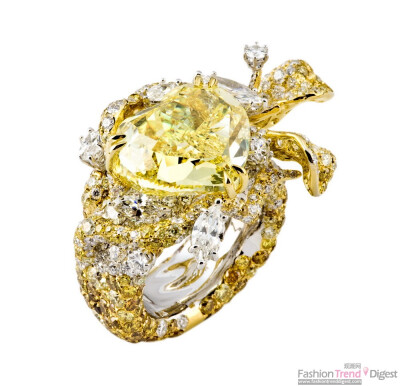 CINDY CHAO The Art Jewel艺术珠宝作品一颗重达9克拉的心形金钻戒指