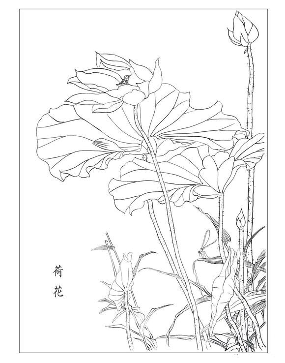 白描线稿