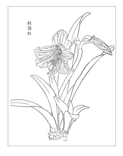 白描线稿