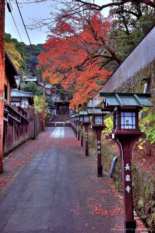 Sunjusangen花园，东山（京都）...